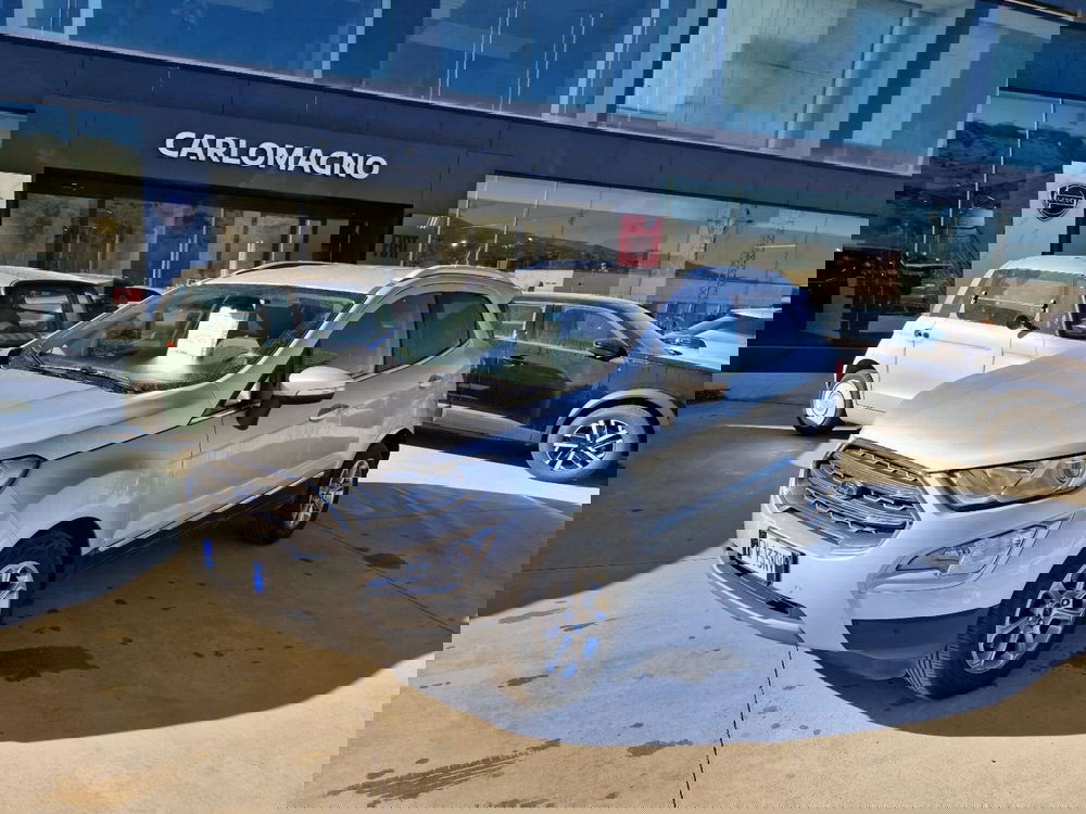 Ford EcoSport usata a Cosenza