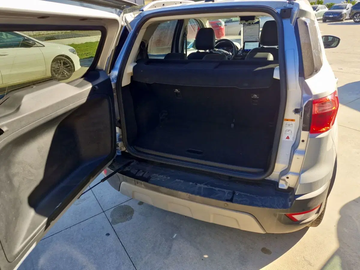 Ford EcoSport usata a Cosenza (14)
