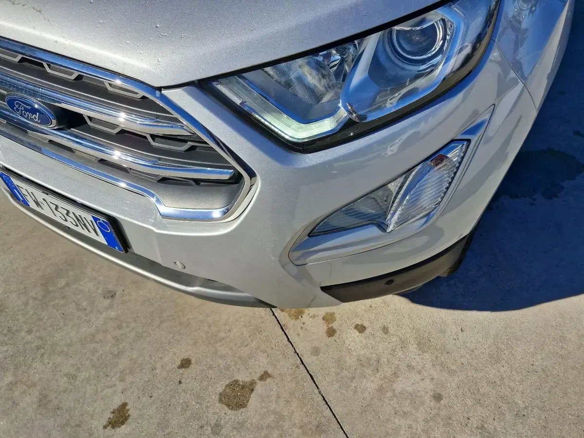Ford EcoSport usata a Cosenza (16)