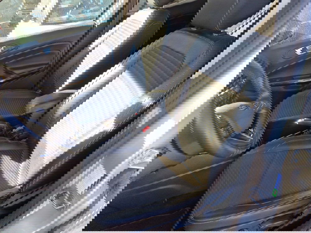 Ford EcoSport usata a Cosenza (17)