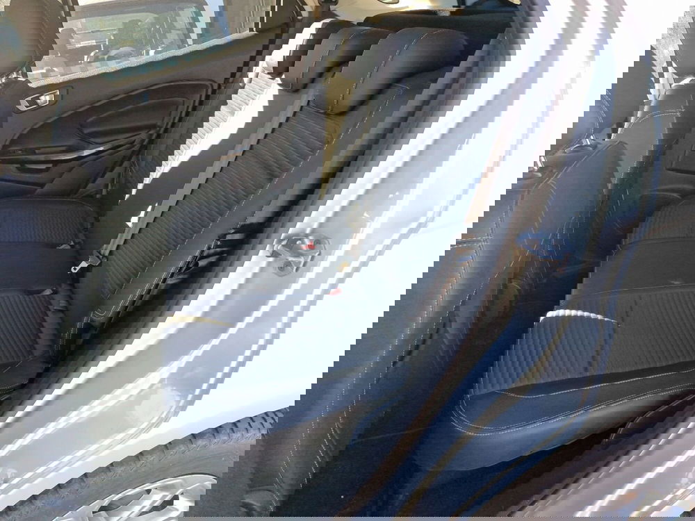 Ford EcoSport usata a Cosenza (19)