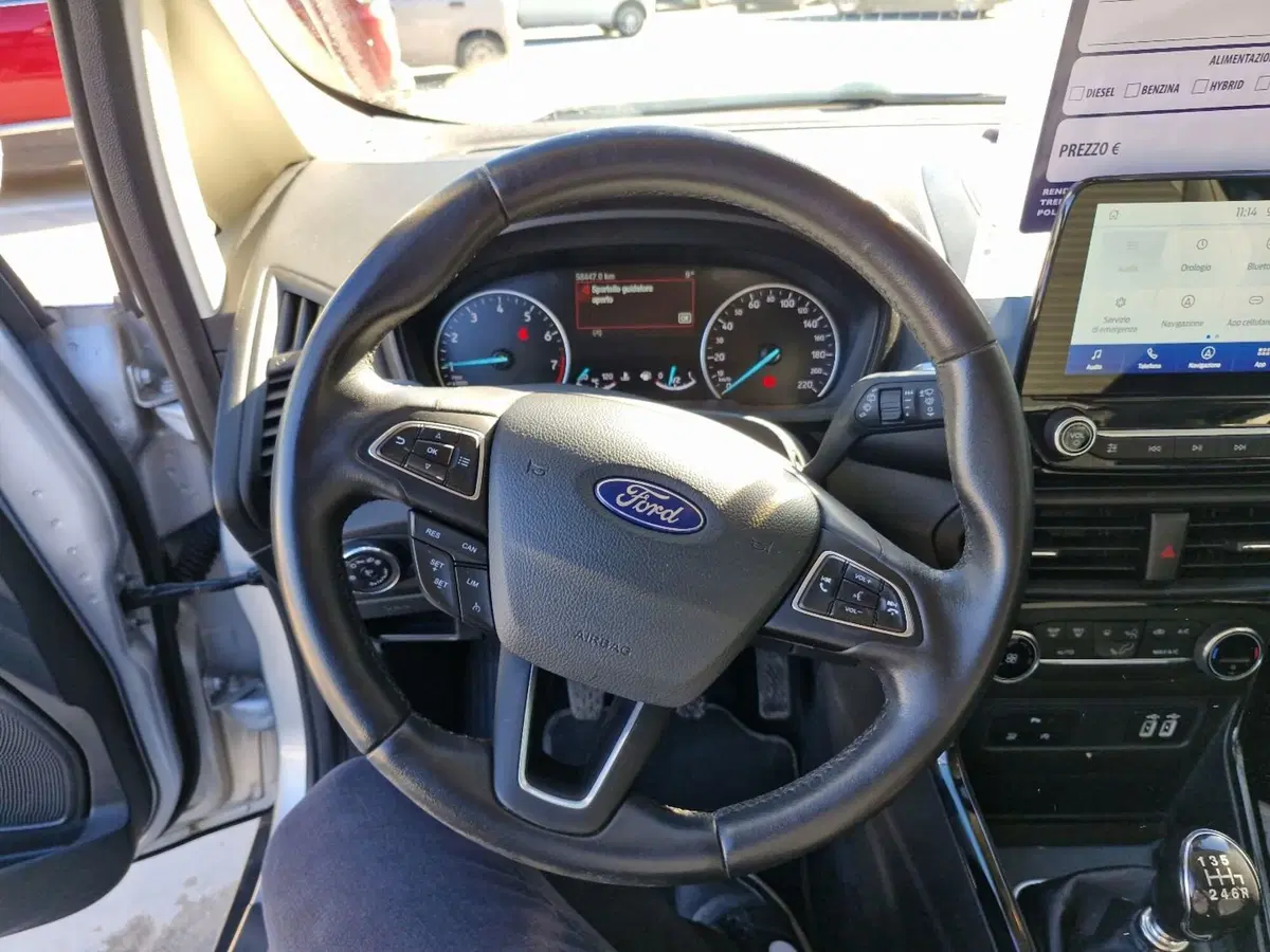 Ford EcoSport usata a Cosenza (20)