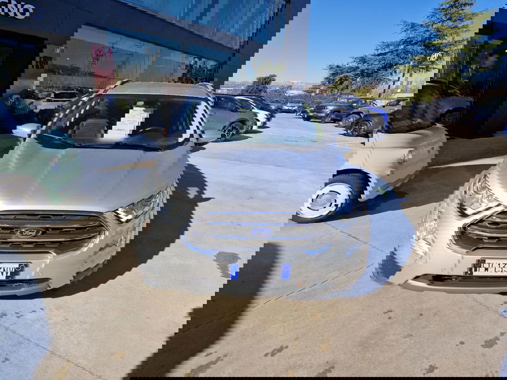 Ford EcoSport usata a Cosenza (5)