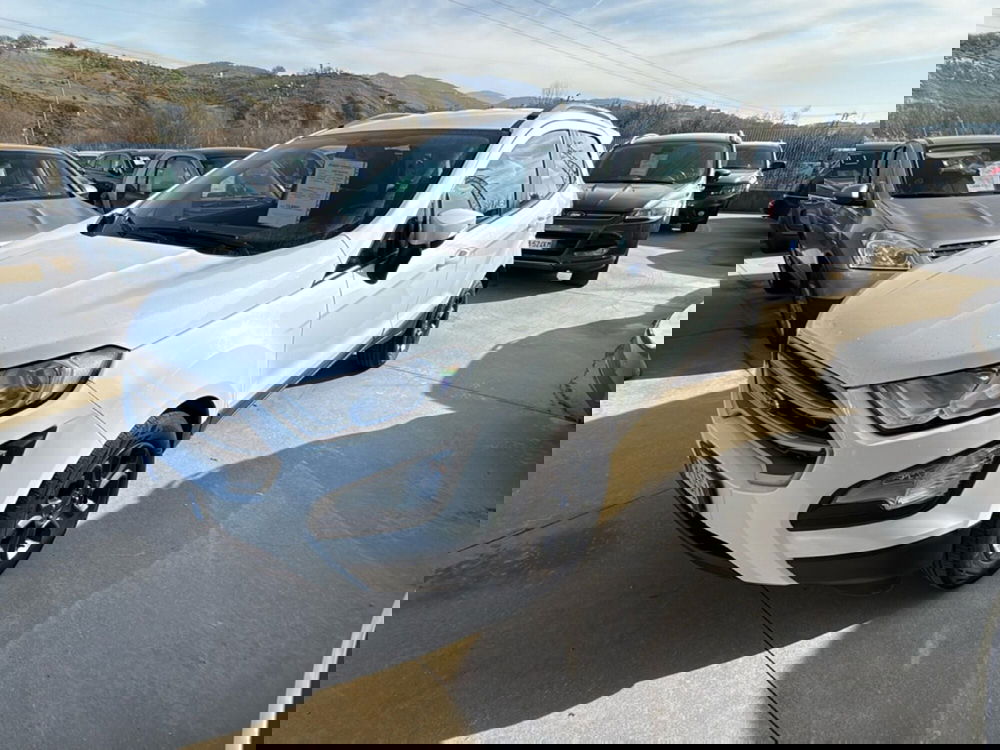 Ford EcoSport usata a Cosenza