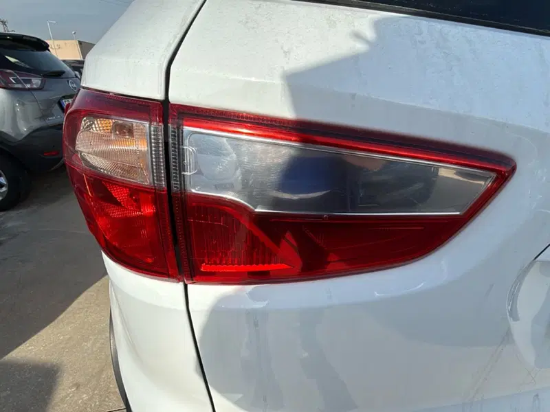 Ford EcoSport usata a Cosenza (10)