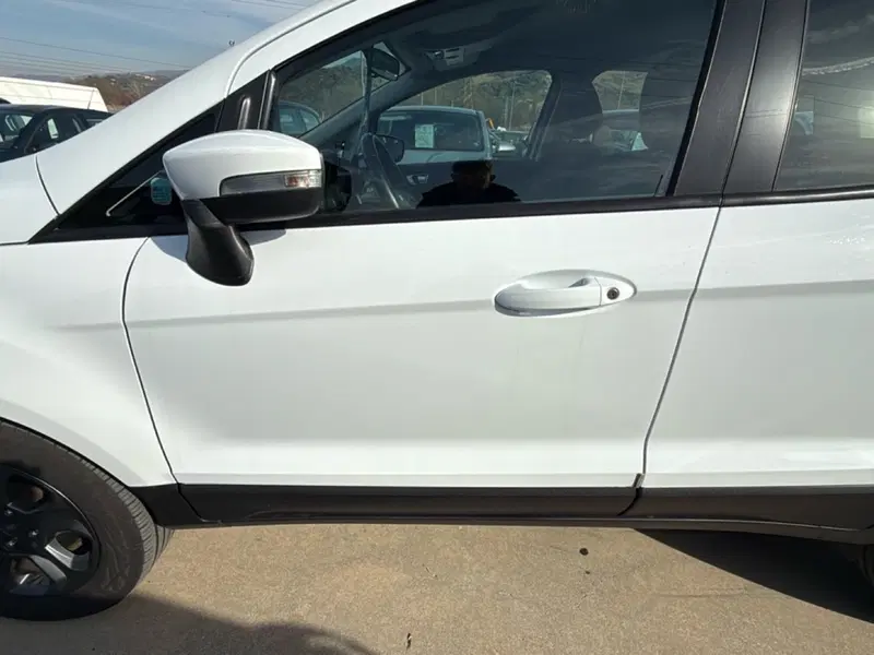 Ford EcoSport usata a Cosenza (11)