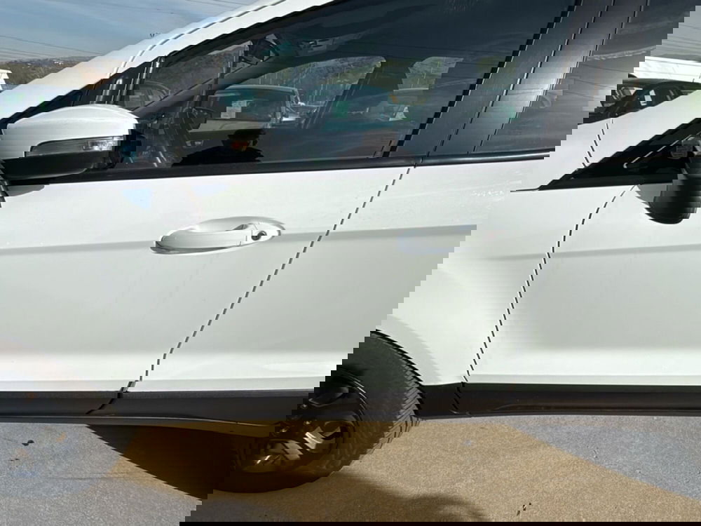Ford EcoSport usata a Cosenza (11)