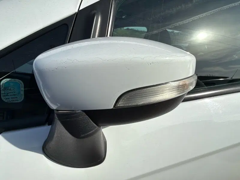 Ford EcoSport usata a Cosenza (12)