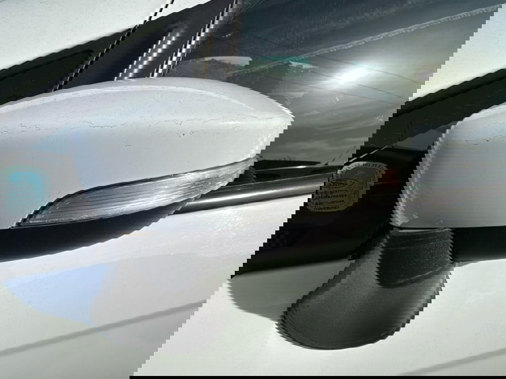Ford EcoSport usata a Cosenza (12)