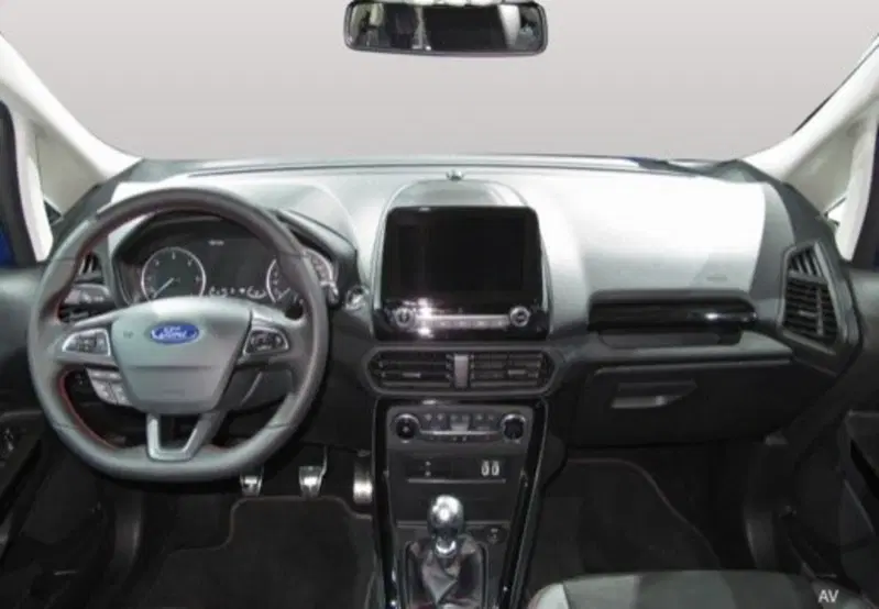 Ford EcoSport usata a Cosenza (14)