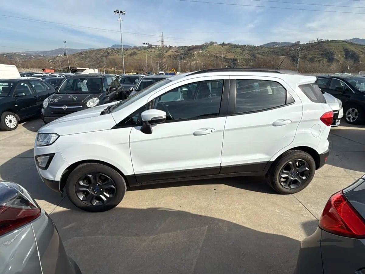 Ford EcoSport usata a Cosenza (2)