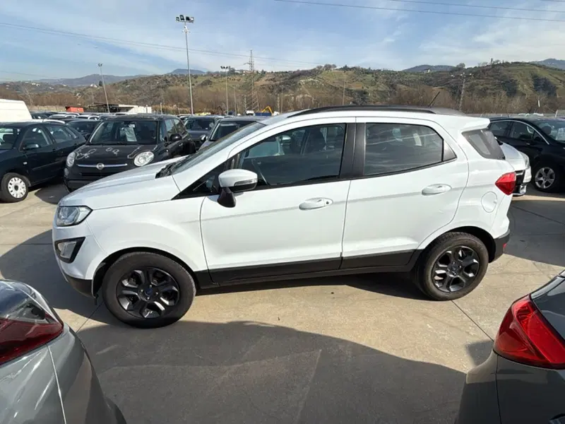 Ford EcoSport usata a Cosenza (2)
