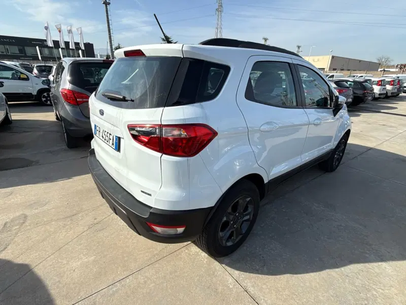 Ford EcoSport usata a Cosenza (3)