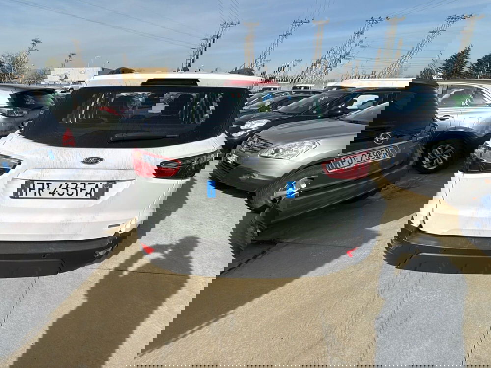 Ford EcoSport usata a Cosenza (4)