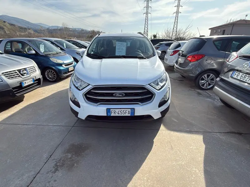 Ford EcoSport usata a Cosenza (5)