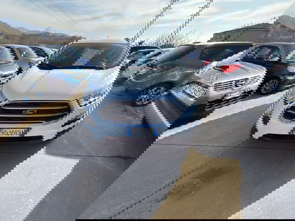 Ford EcoSport usata a Cosenza (5)