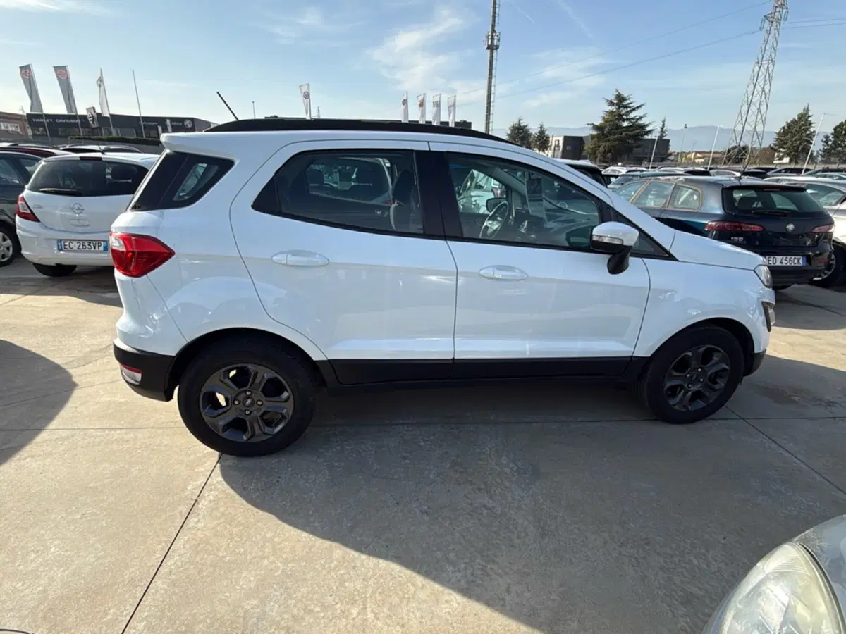 Ford EcoSport usata a Cosenza (7)