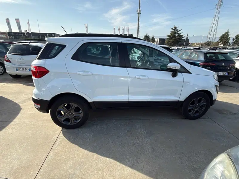 Ford EcoSport usata a Cosenza (7)