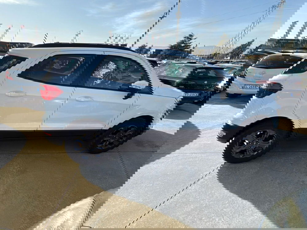 Ford EcoSport usata a Cosenza (7)