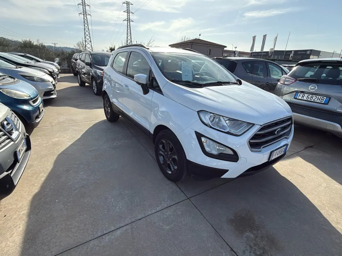 Ford EcoSport usata a Cosenza (8)