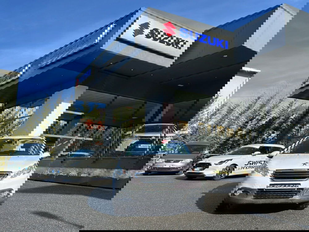 Peugeot 2008 usata a Vercelli (2)