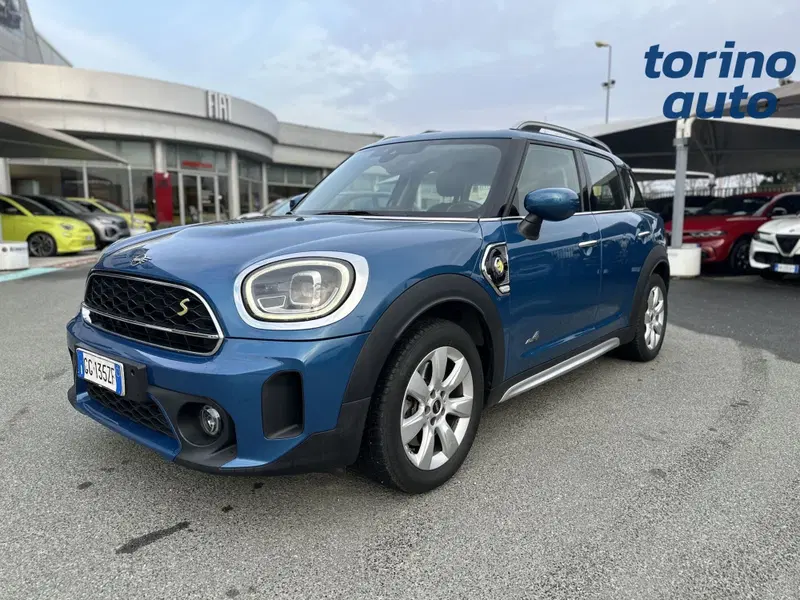 MINI Mini Countryman usata a Torino (3)