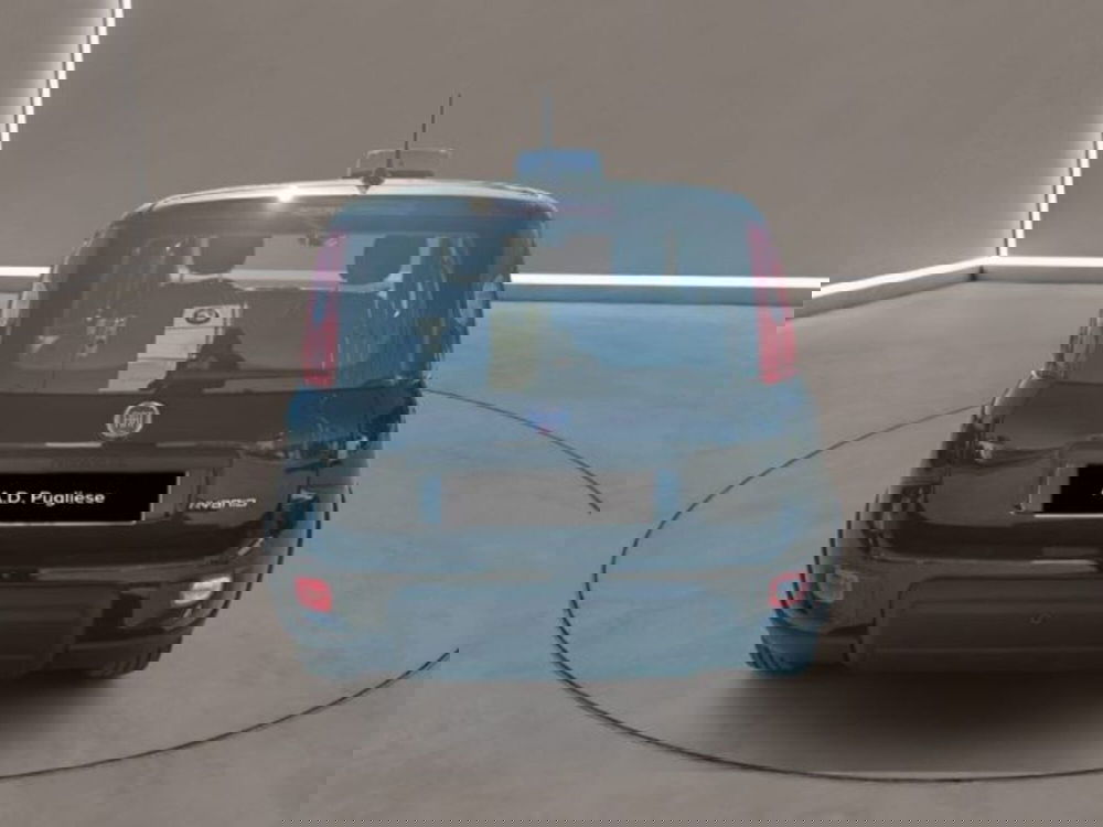 Fiat Panda usata a Caltanissetta (5)