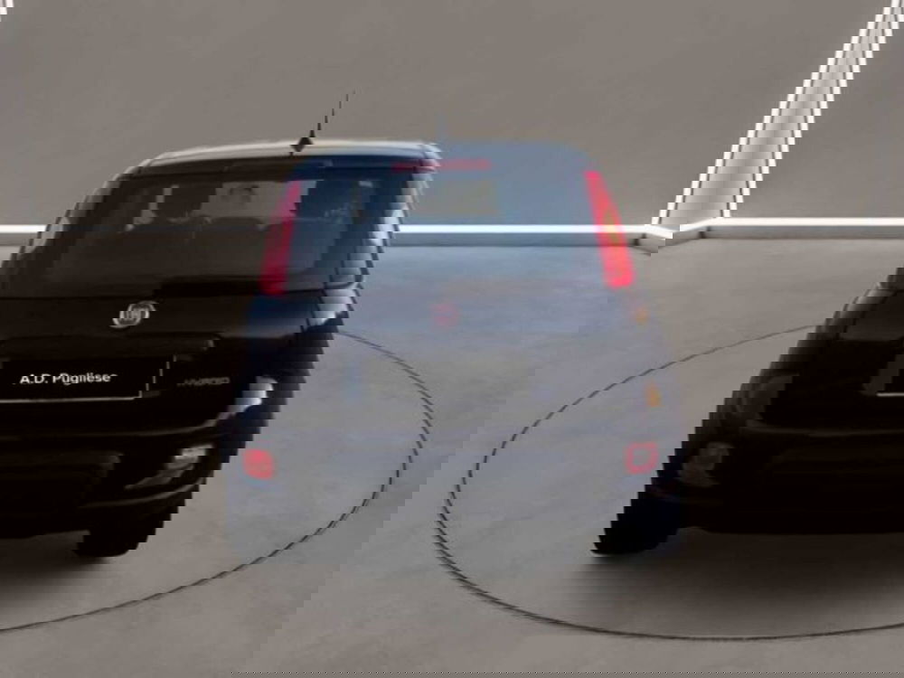 Fiat Panda usata a Caltanissetta (6)