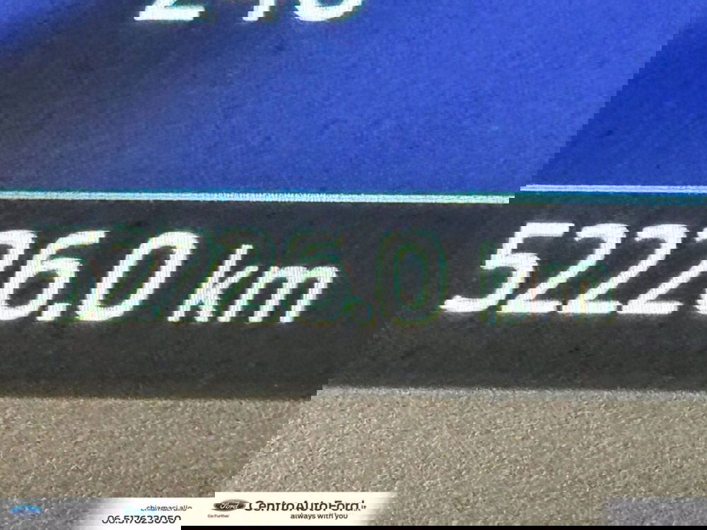 Ford Fiesta usata a Roma (20)