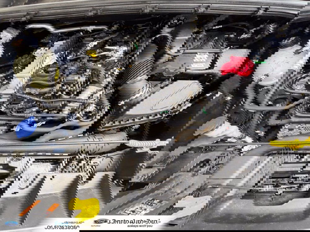 Ford Puma usata a Roma (12)