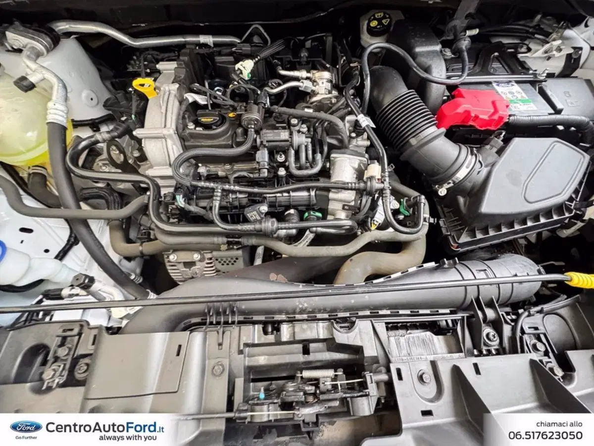 Ford Puma usata a Roma (12)