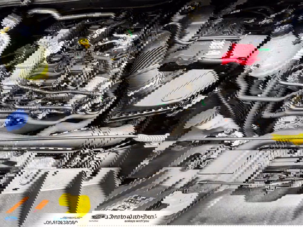 Ford Puma usata a Roma (12)