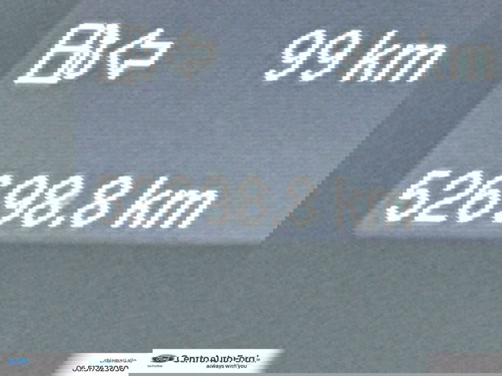 Ford Transit Custom Furgone usata a Roma (20)