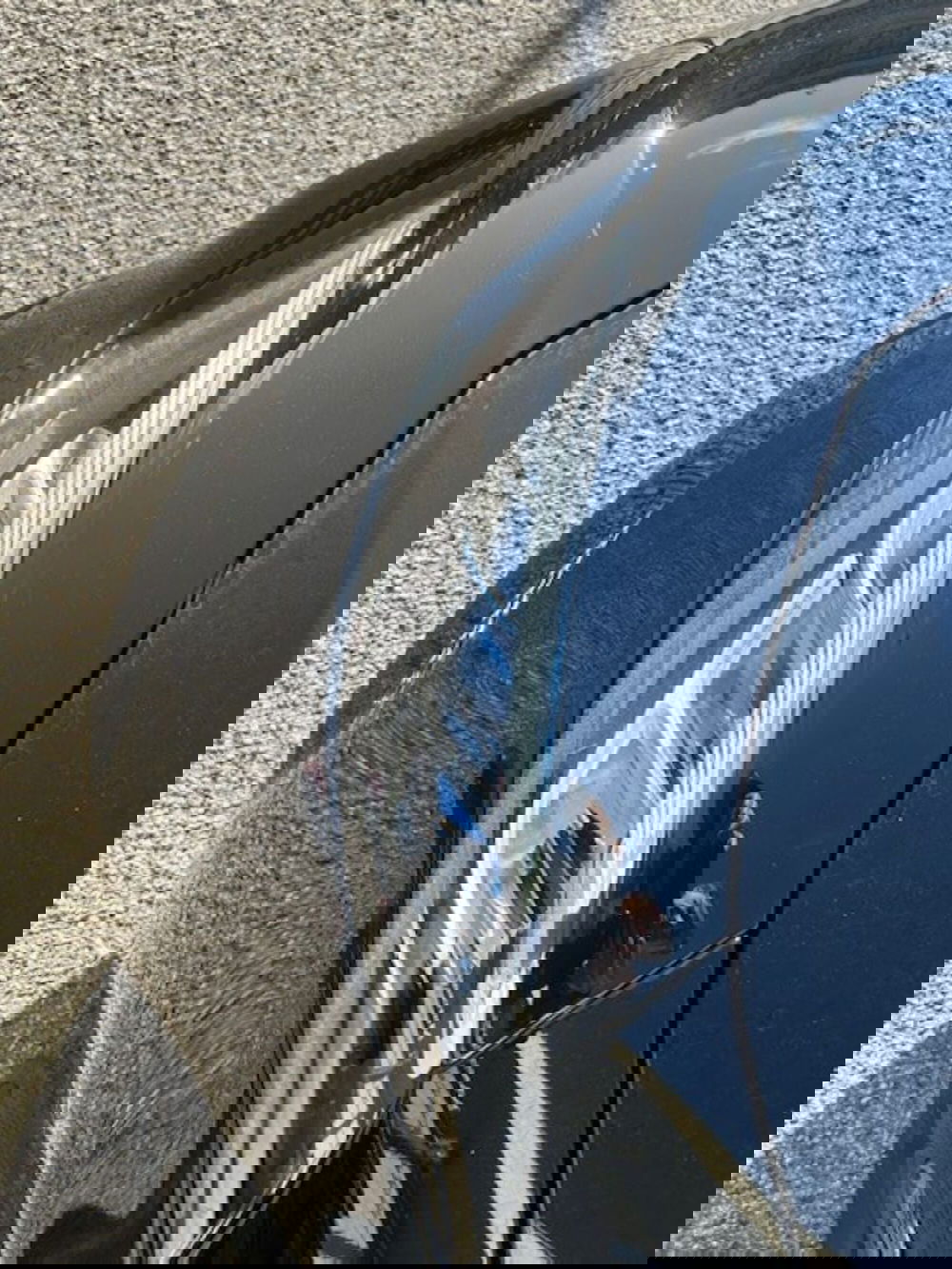 Mercedes-Benz Classe A usata a Potenza (16)