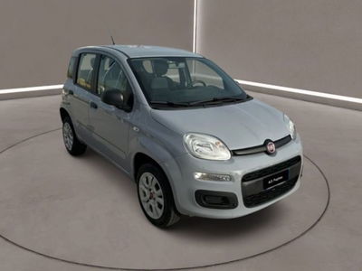 Fiat Panda 0.9 TwinAir Turbo Natural Power Easy del 2018 usata a Caltanissetta