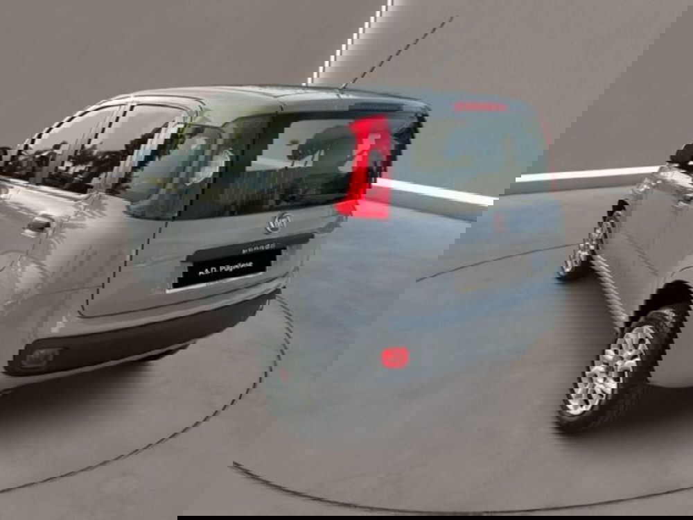 Fiat Panda usata a Caltanissetta (4)