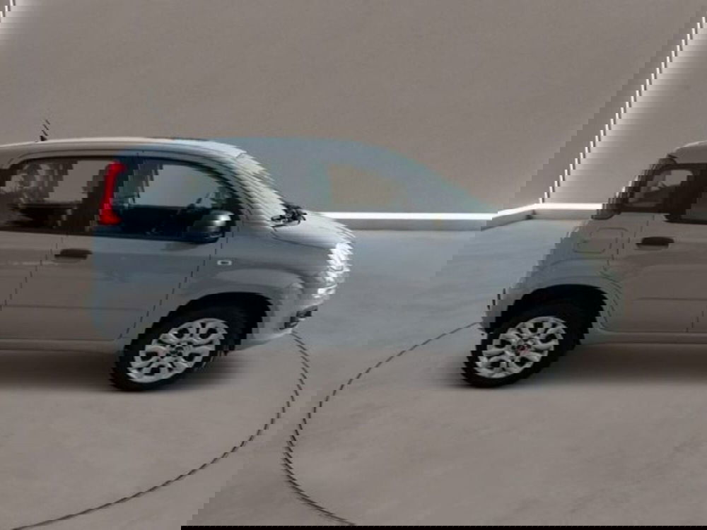 Fiat Panda usata a Caltanissetta (7)