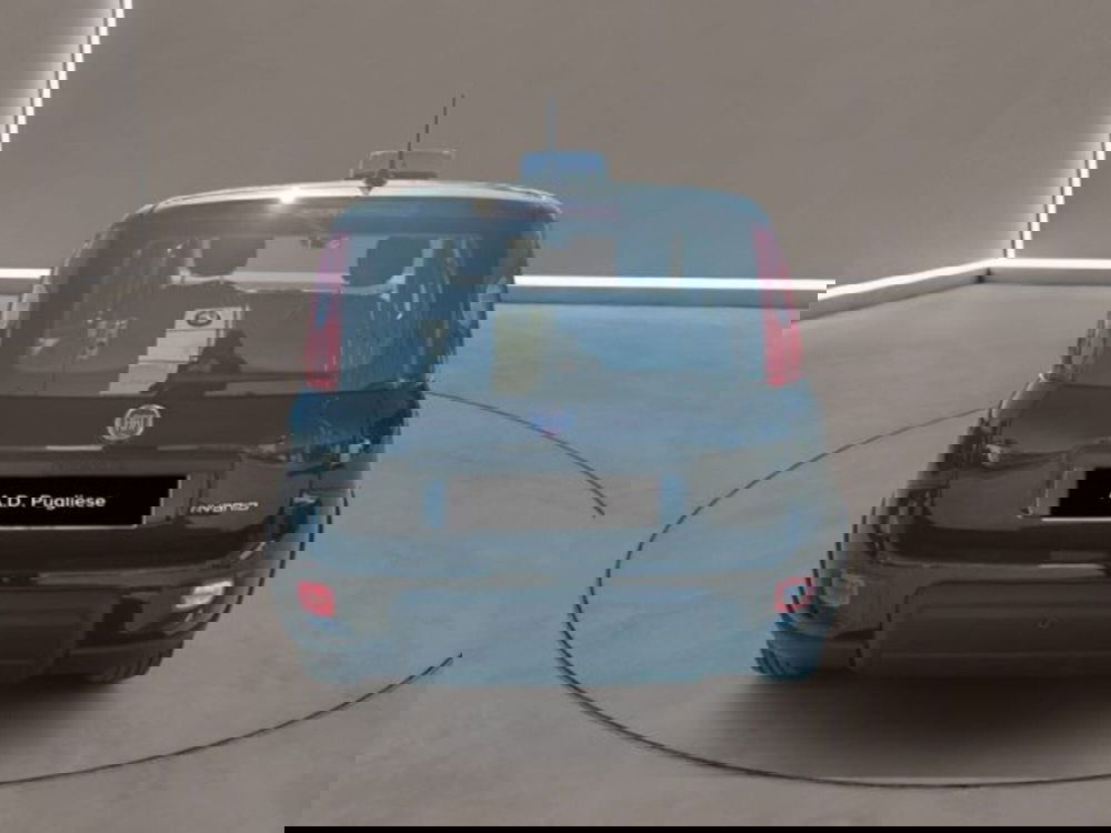 Fiat Panda Cross usata a Caltanissetta (5)