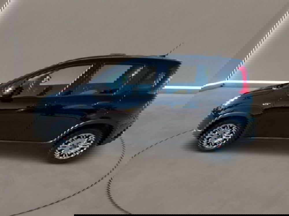 Fiat Panda Cross usata a Caltanissetta (8)