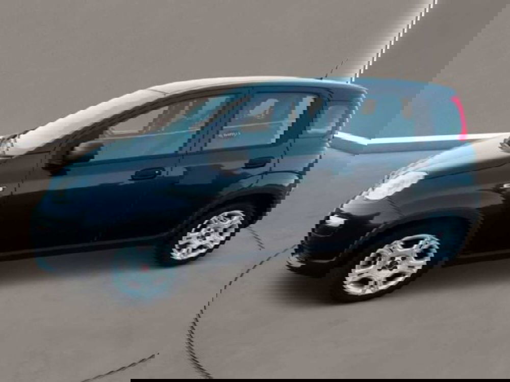 Fiat Panda Cross usata a Caltanissetta (3)