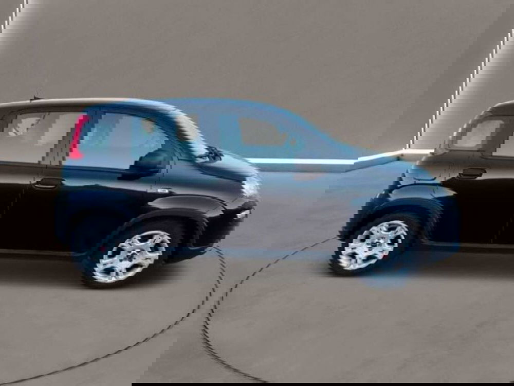 Fiat Panda Cross usata a Caltanissetta (4)