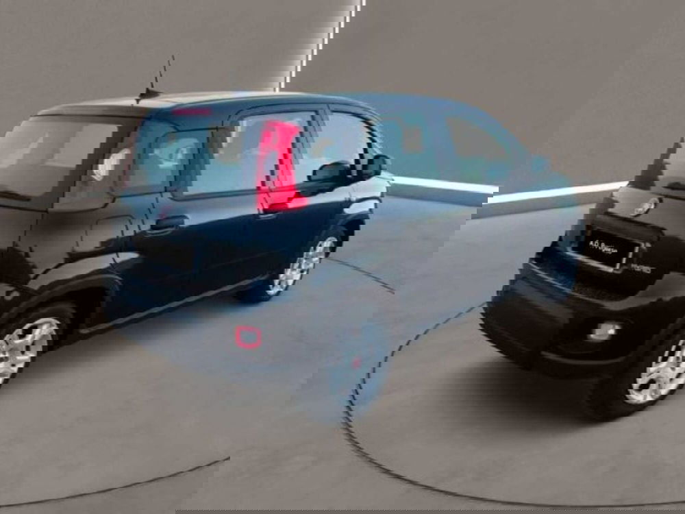 Fiat Panda Cross usata a Caltanissetta (5)