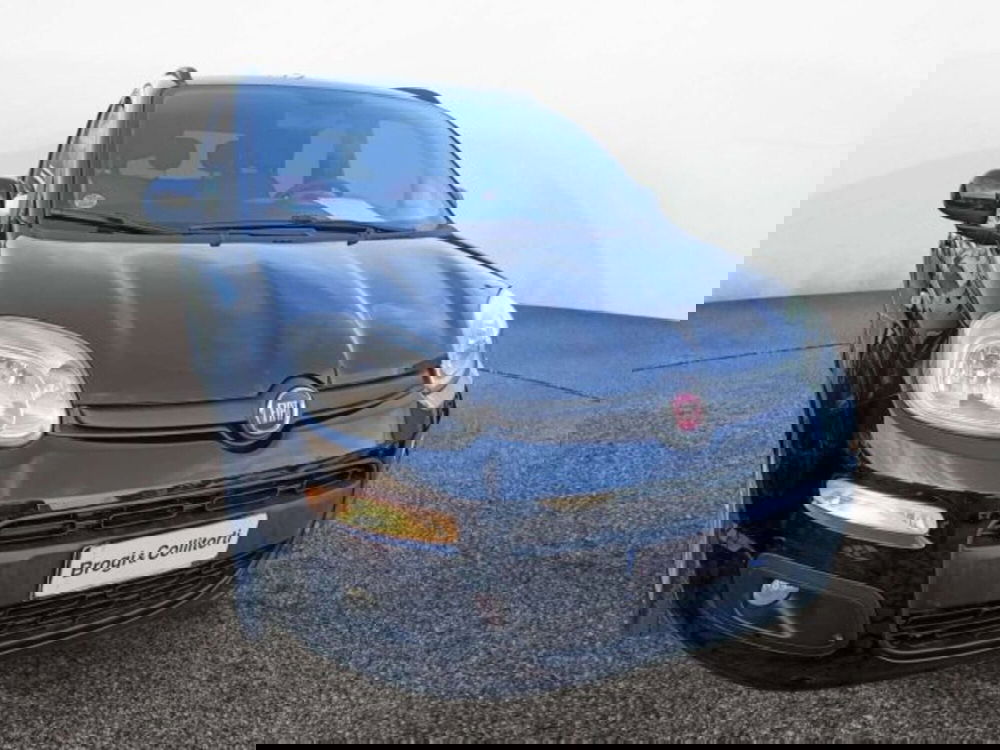 Fiat Panda usata a Firenze