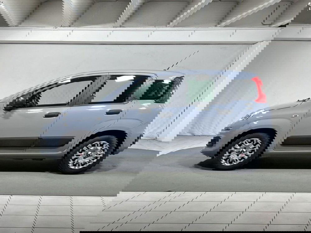 Fiat Panda usata a Sondrio (2)