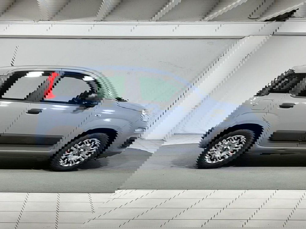 Fiat Panda usata a Sondrio (6)