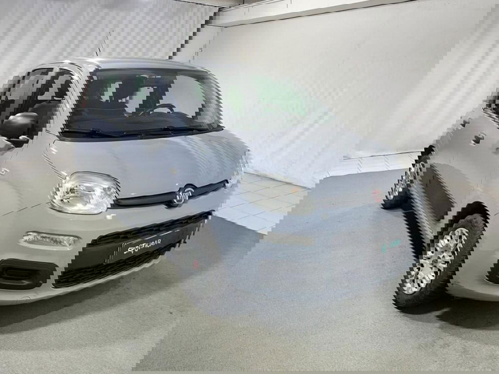 Fiat Panda usata a Sondrio (7)