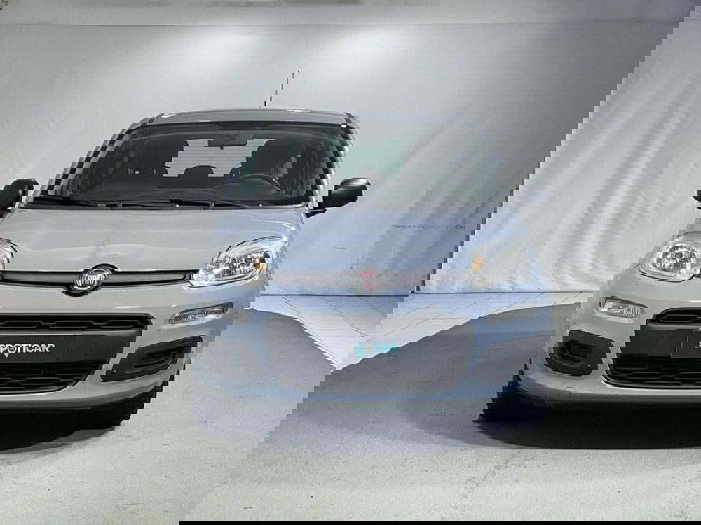 Fiat Panda usata a Sondrio (8)