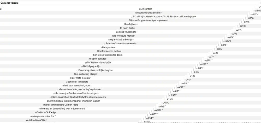 BMW X6 usata a Messina (16)