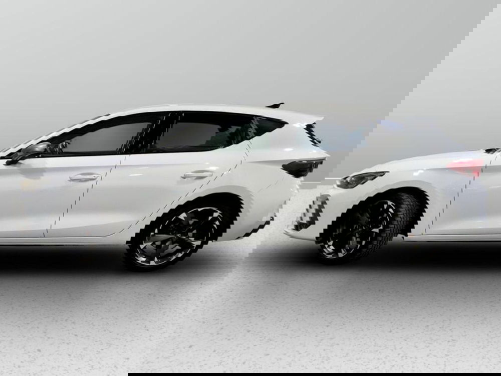 Cupra Leon usata a Padova (2)