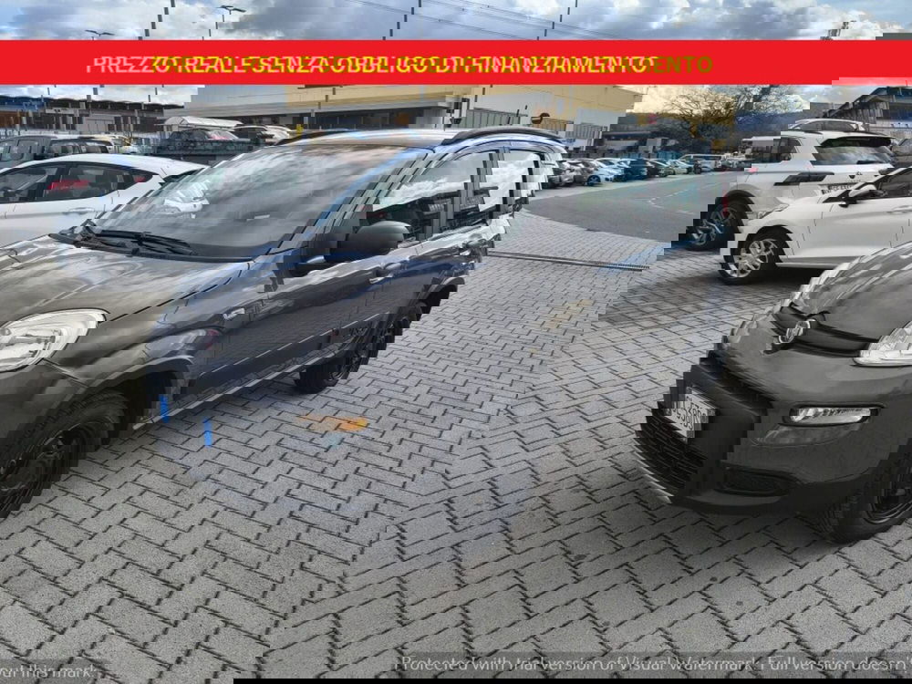 Fiat Panda usata a Firenze